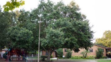 15th Annual Whistle Stop Arts & Crafts Show 11/5/2022 – Now Accepting Vendor Applications Featured Image
