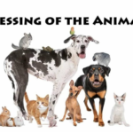 Blessing of the Animals Thumbnail