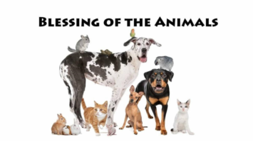 Blessing of the Animals Featured Image